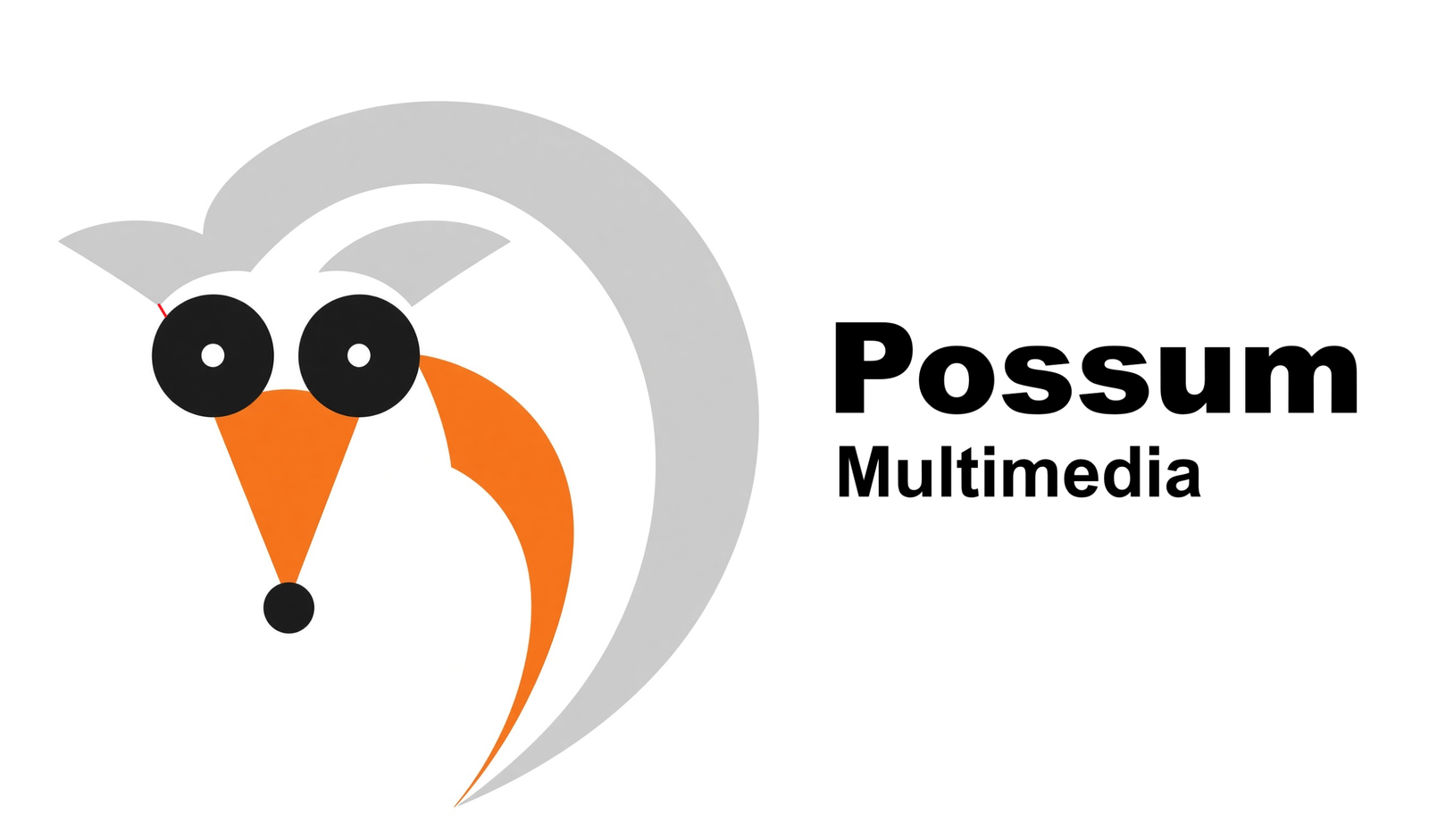Possum Multimedia